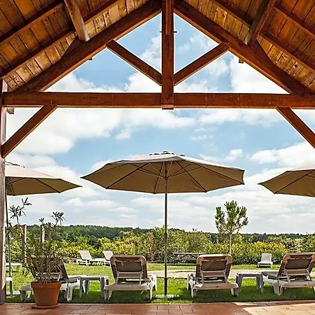 Relais Des Vigiers Hotel 4*